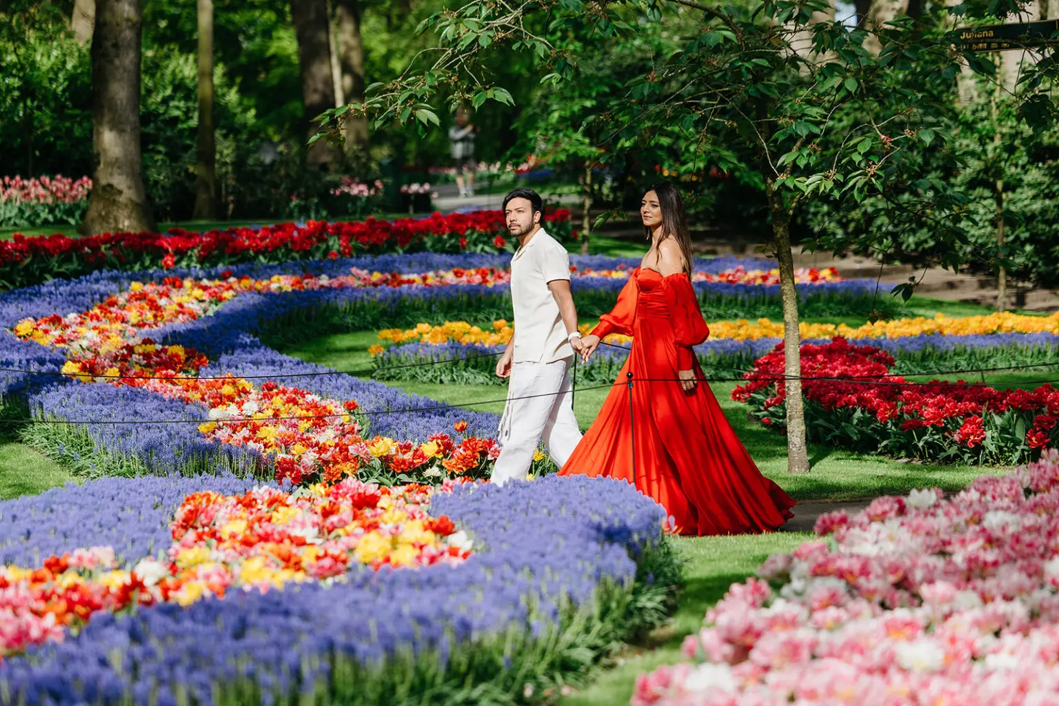 Couple walking through colorful flower gardens near Amsterdam during tulip season in the Netherlands